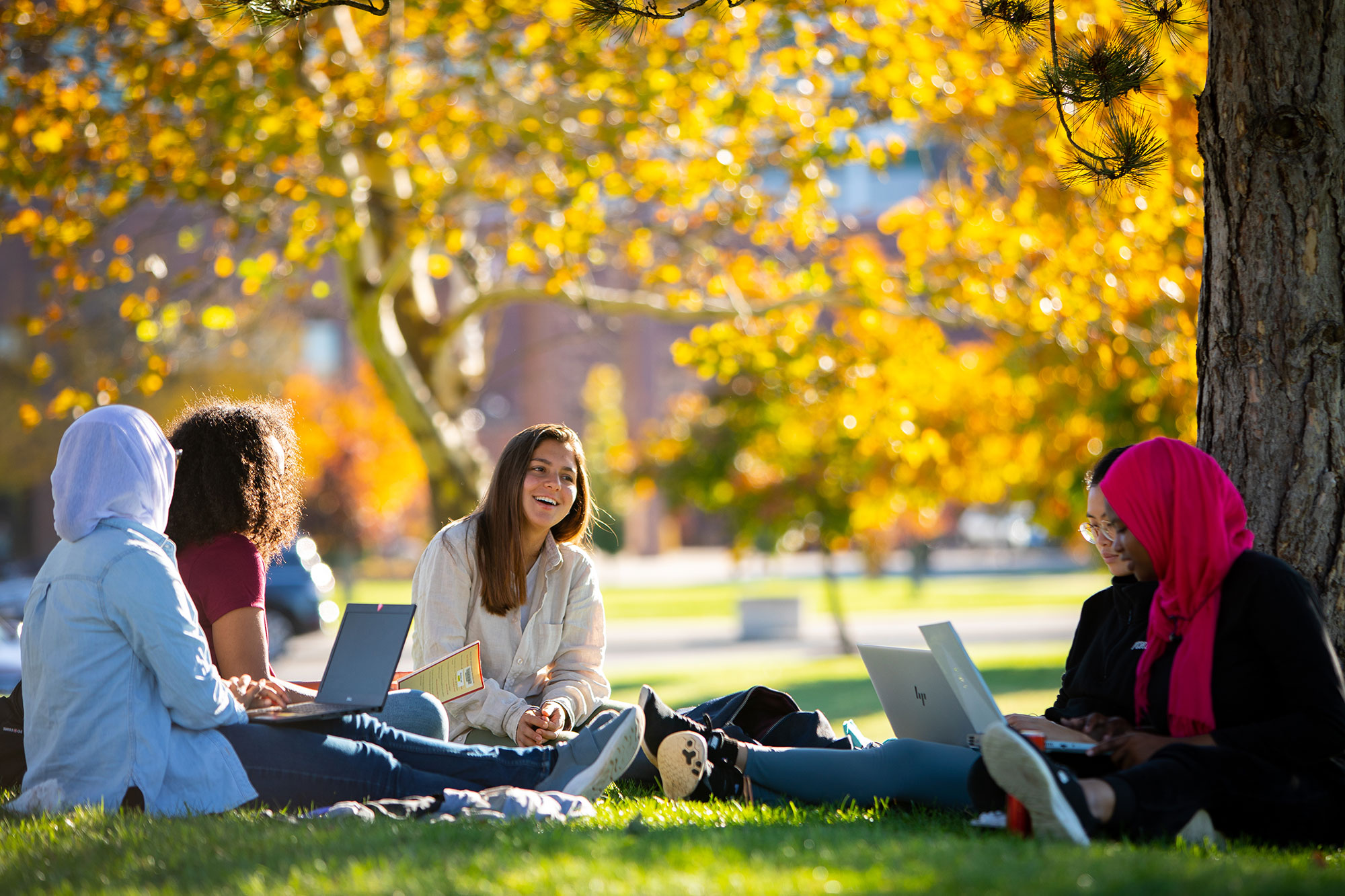 Students sit on the grass under trees full of leaves in autumn colors.